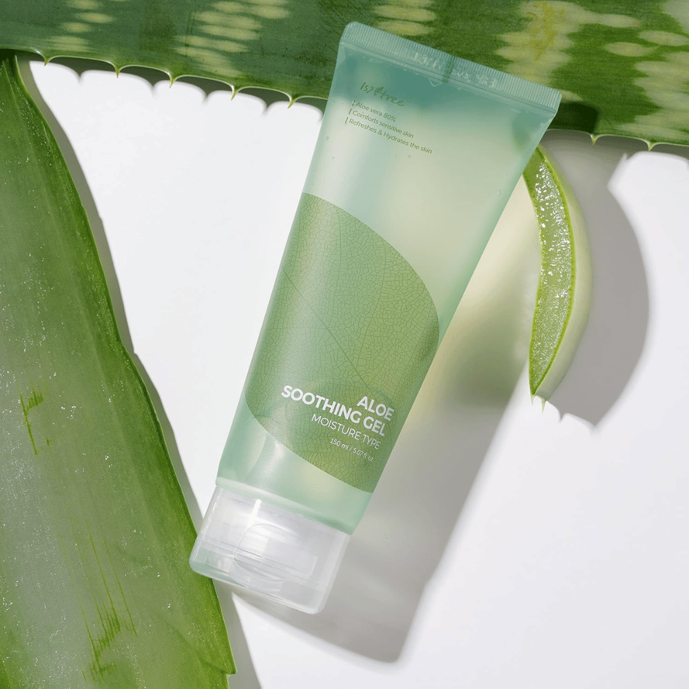 Isntree Aloe Soothing Gel Moisture Type – moisturizing gel with 80% aloe vera, photographed with fresh aloe leaves