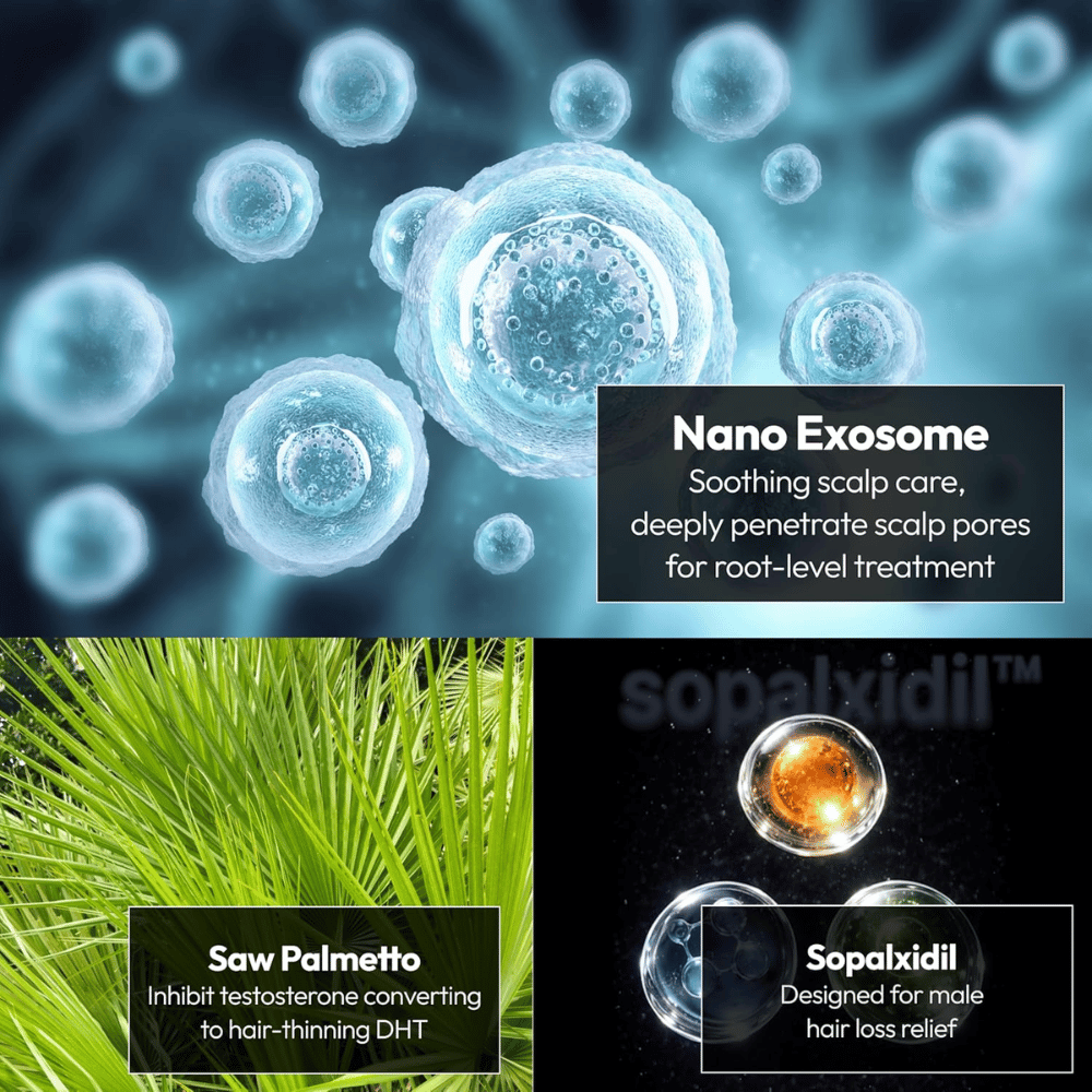 Illustration of the product's key ingredients, including nano exosomes, saw palmetto, and Sopalxidil™. The ingredients are highlighted to support scalp care, reduce DHT-related hair loss, and strengthen the conditions for hair growth.