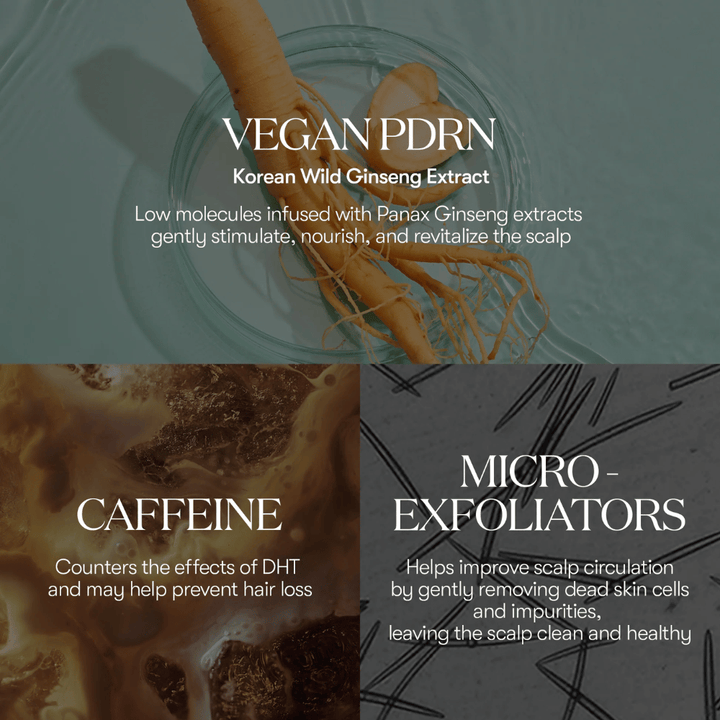 Illustration of active ingredients in PDRN Reedle Shot Hair Ampoule 100dL with vegan PDRN from Korean wild ginseng, caffeine, and micro-exfoliators that care for and revitalize the scalp.